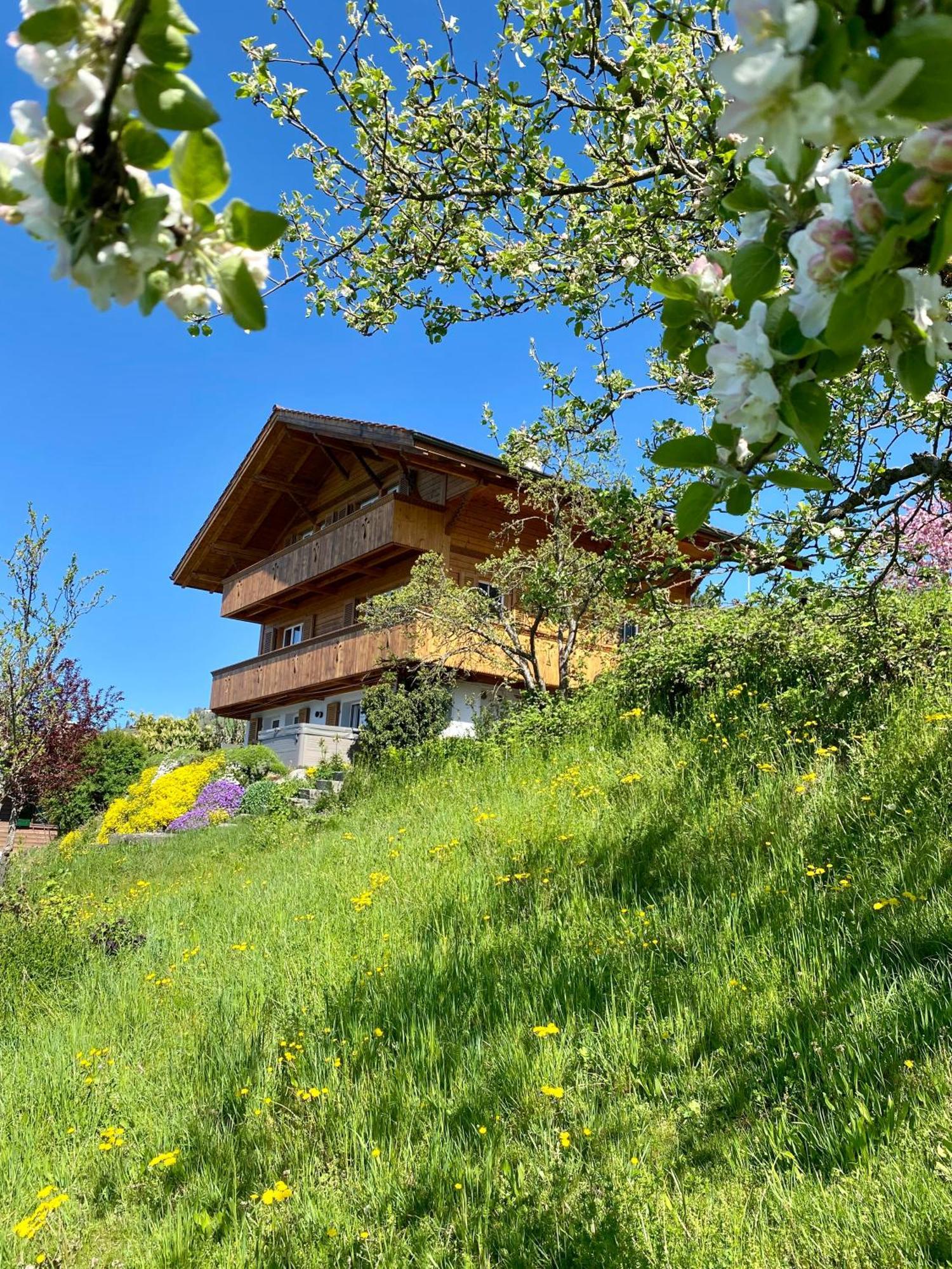 Chalet Egglen "Typical Swiss House, Best Views, Private Jacuzzi" Sigriswil Exterior photo