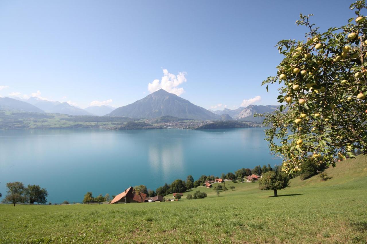 Chalet Egglen "Typical Swiss House, Best Views, Private Jacuzzi" Sigriswil Exterior photo