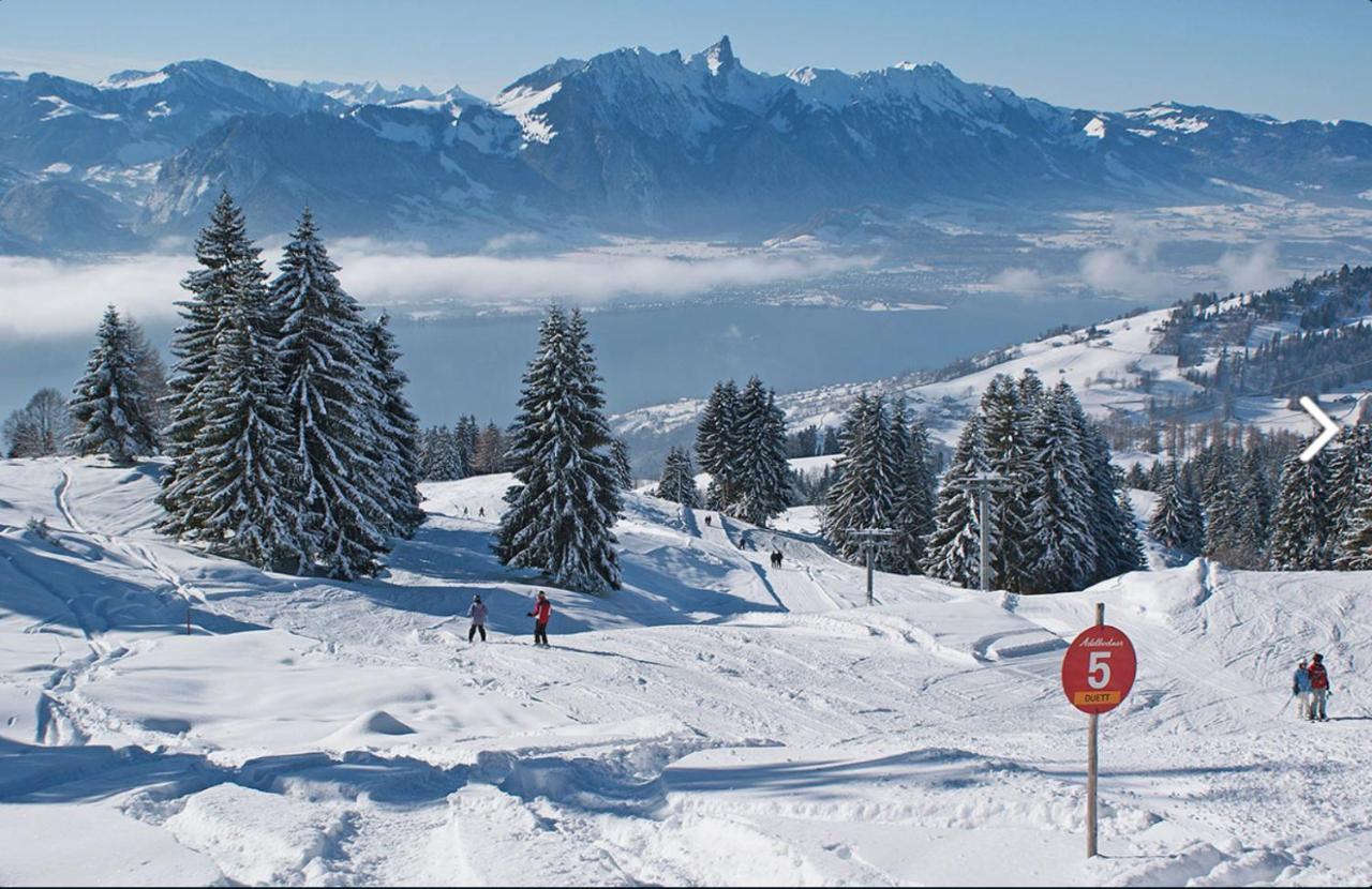 Chalet Egglen "Typical Swiss House, Best Views, Private Jacuzzi" Sigriswil Exterior photo