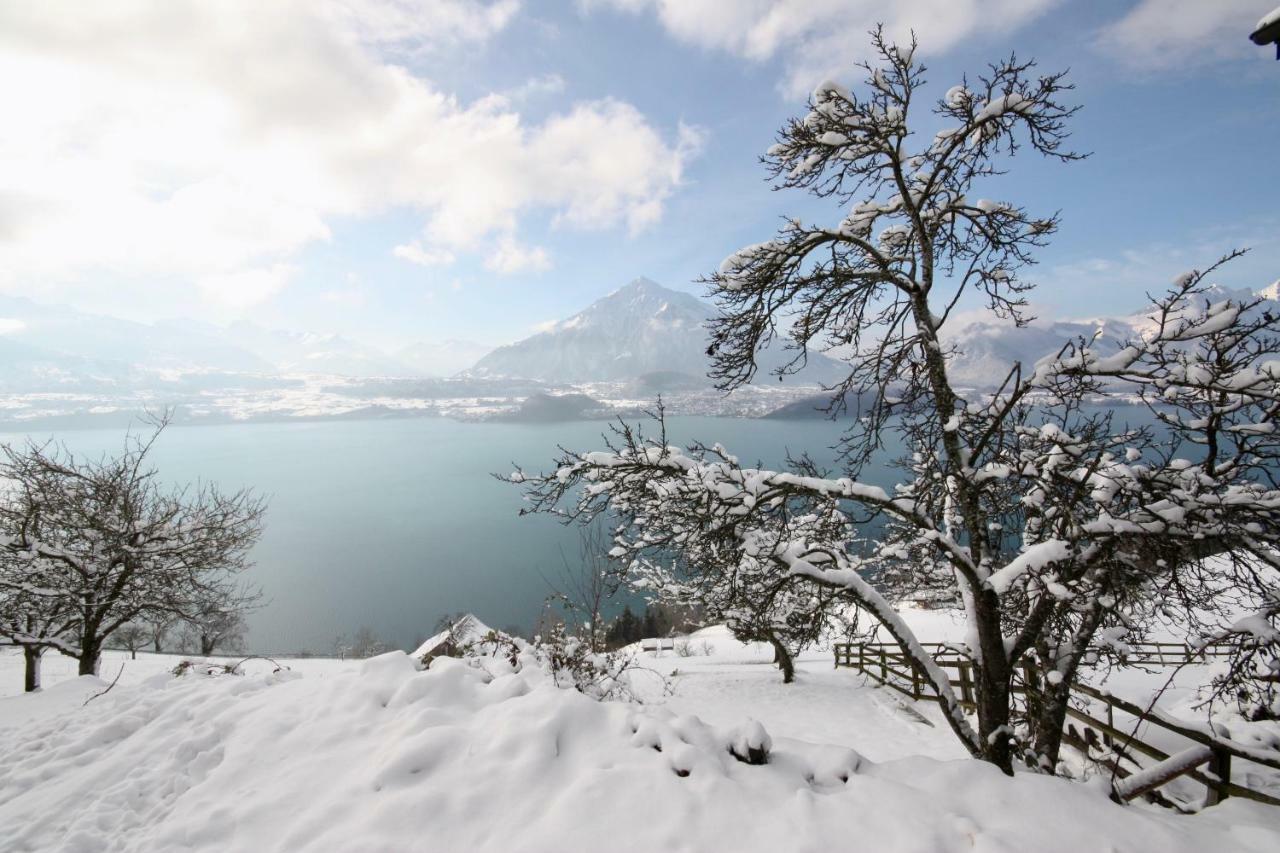 Chalet Egglen "Typical Swiss House, Best Views, Private Jacuzzi" Sigriswil Exterior photo