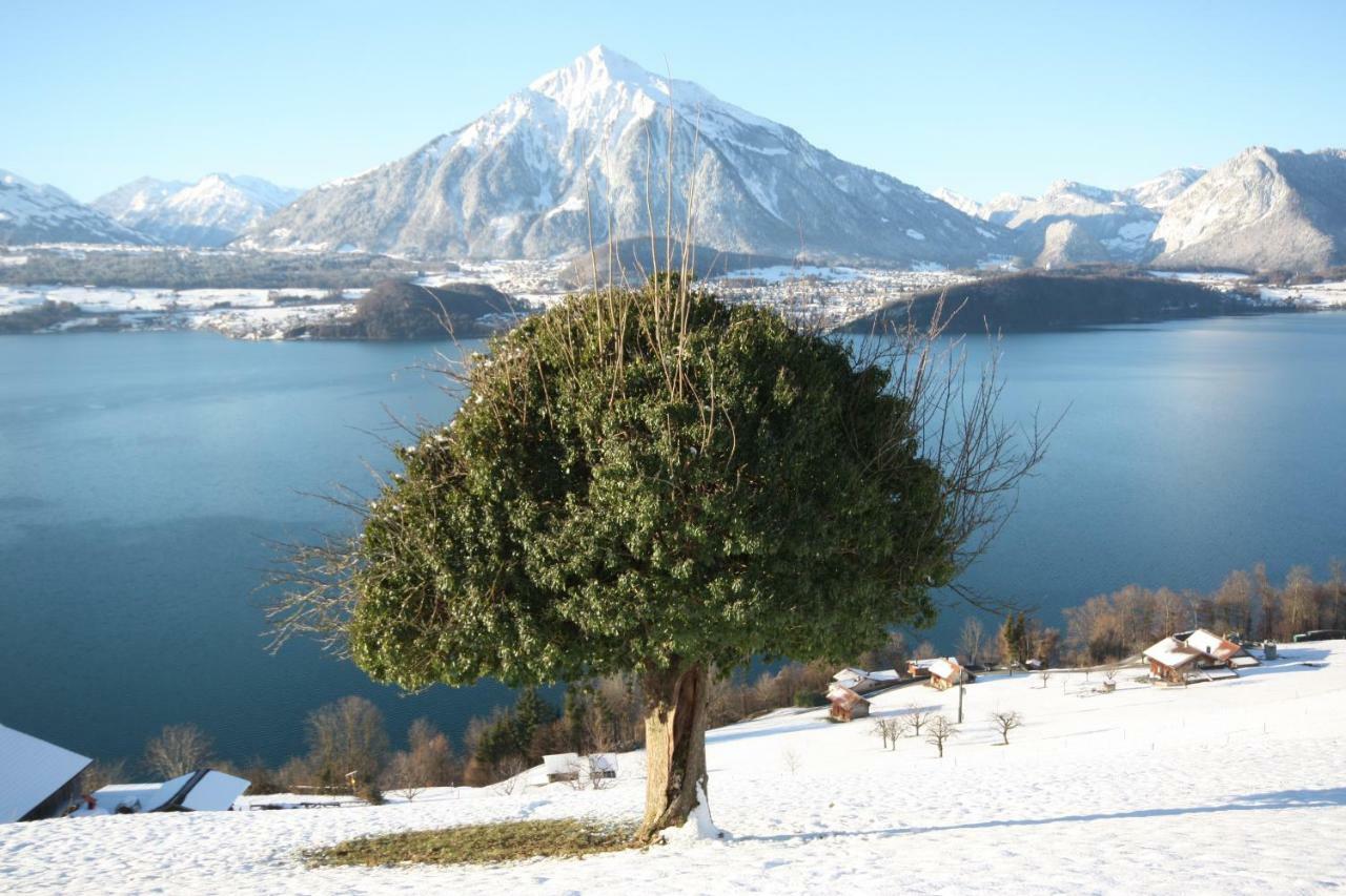 Chalet Egglen "Typical Swiss House, Best Views, Private Jacuzzi" Sigriswil Exterior photo