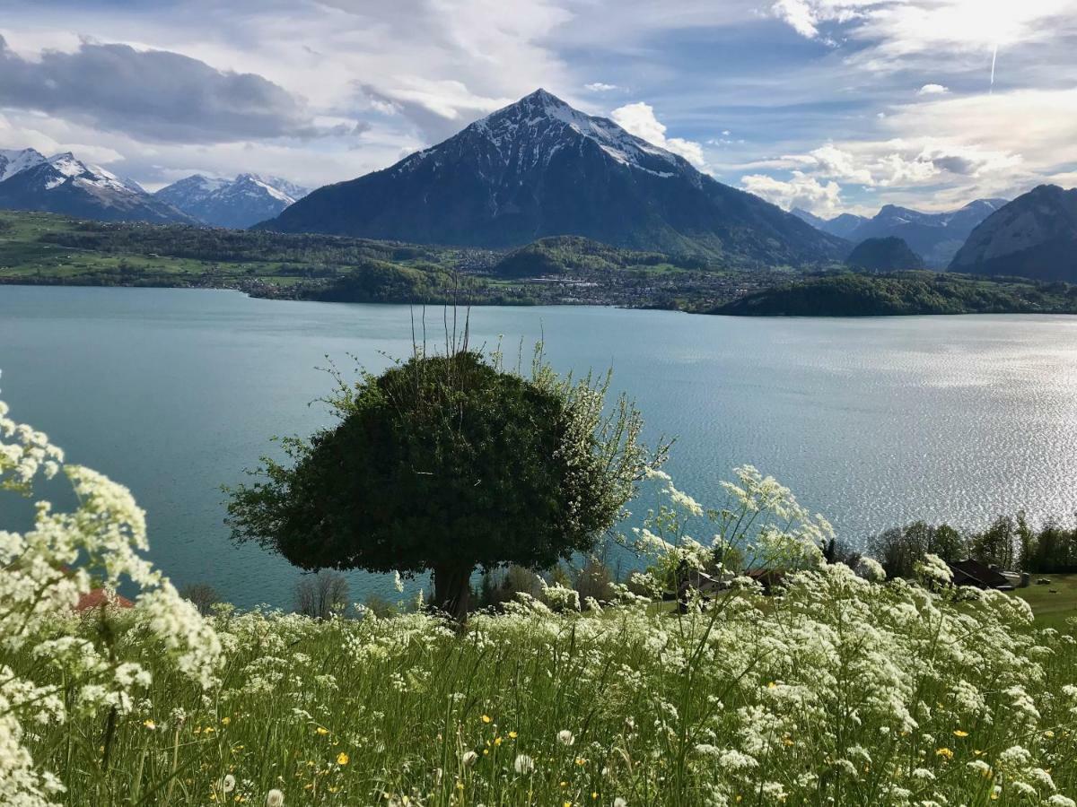 Chalet Egglen "Typical Swiss House, Best Views, Private Jacuzzi" Sigriswil Exterior photo